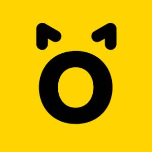 Roars Technologies roarsinc